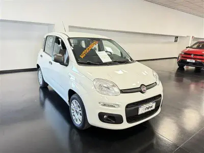 Usata Fiat Panda Easy 69 CV (50 kW) 2018 Grigio chiaro Utilitaria