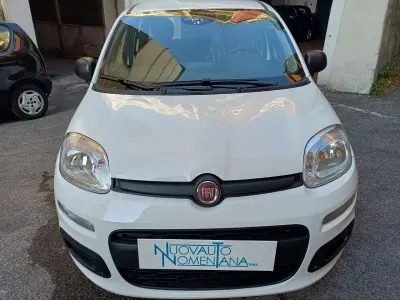 Nuova Fiat Panda Pop 69 CV (50 kW) 2026 Bianco Utilitaria