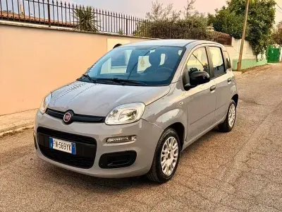 Usata Fiat Panda