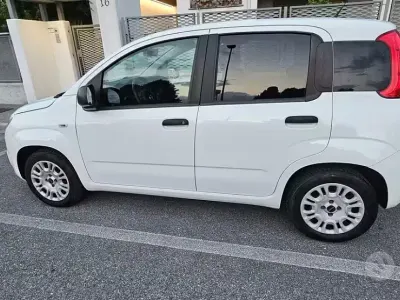 Usata Fiat Panda 69 CV (50 kW) 2019 Bianco Utilitaria