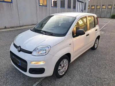 Usata Fiat Panda City Life 69 CV (50 kW) 2021 Bianco Utilitaria