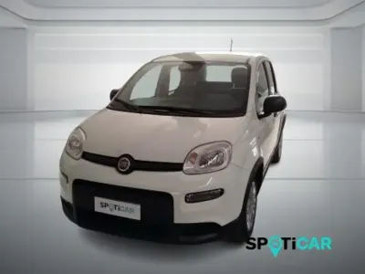 Ny Fiat Panda Icon 69 HK (50 kW) 2025 Vit Halvkombi