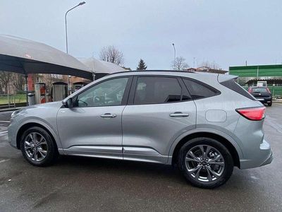 Usata Ford Kuga ST-Line 152 CV (111 kW) 2023 Grigio SUV