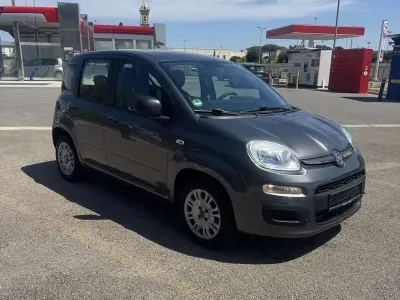 Usata Fiat Panda 69 CV (50 kW) 2019 Utilitaria