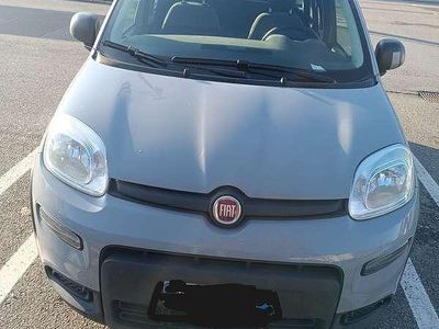 Usata Fiat Panda Red 69 CV (50 kW) 2022 Grigio Utilitaria