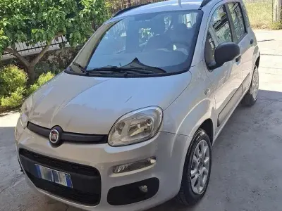 Usata Fiat Panda 80 CV (58 kW) 2014 Grigio Utilitaria