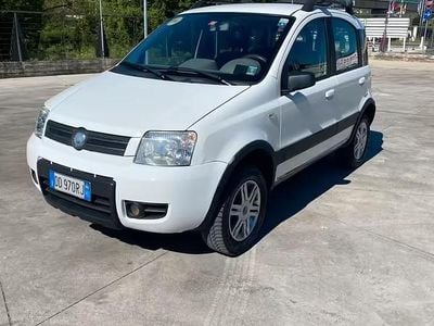 Usata Fiat Panda 4x4 Climbing 69 CV (50 kW) 2006 Bianco Utilitaria