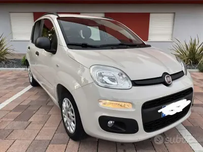 Usata Fiat Panda Easy 69 CV (50 kW) 2016 Utilitaria