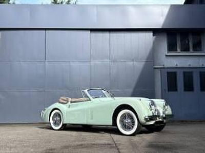 Usata Jaguar XK 162 CV (119 kW) 1953 Verde Cabrio