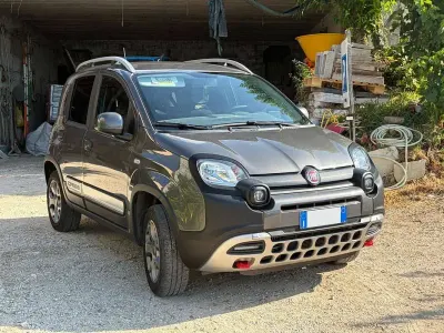 Usata Fiat Panda Cross Cross 86 CV (63 kW) 2021 Grigio Utilitaria