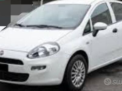 usata Fiat Punto street