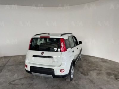 usata Fiat Panda Cross 1.0 FireFly S&S Hybrid City nuova a Ancona