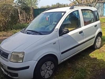 Usata Fiat Panda 60 CV (44 kW) 2008 Bianco Utilitaria