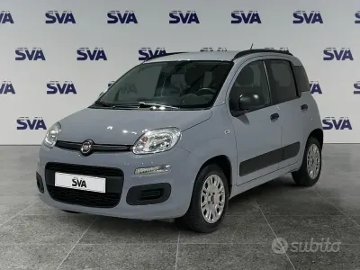 Usata Fiat Panda Easy 69 CV (50 kW) 2018 Grigio Utilitaria
