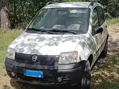 Occasion Fiat Panda 4x4 2005 Blanc Citadine