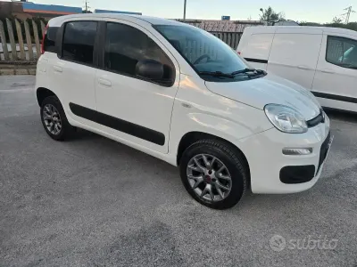 Usata Fiat Panda 4x4 Pop 80 CV (58 kW) 2016 Bianco Utilitaria