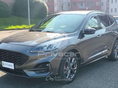 Usata Ford Kuga ST-Line X 190 CV (139 kW) 2021 Grigio SUV