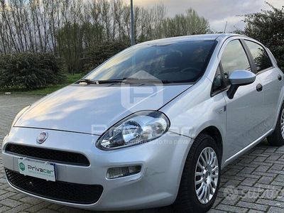 usata Fiat Punto Punto1.2 8V 5 porte Easy