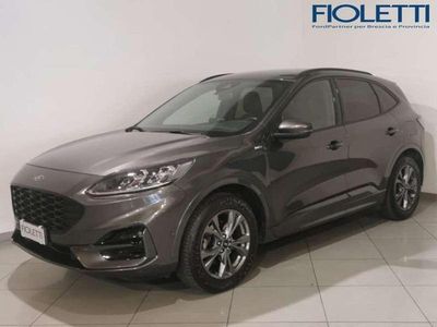 Usata Ford Kuga ST-Line X 150 CV (110 kW) 2020 Grigio SUV