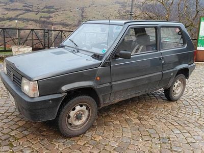 Usata Fiat Panda 4x4 Trekking 54 CV (39 kW) 1998 Utilitaria