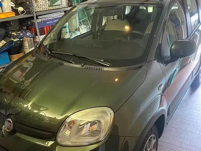 Usata Fiat Panda 4x4 80 CV (58 kW) 2014 Verde Utilitaria
