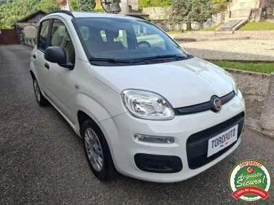 Usata Fiat Panda Easy 69 CV (50 kW) 2015 Bianco Utilitaria