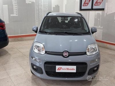 Usata Fiat Panda Lounge 69 CV (50 kW) 2017 Grigio Utilitaria