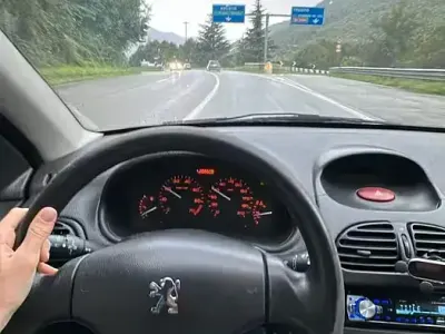 Usata Peugeot 206