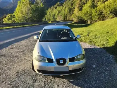Usata Seat Ibiza