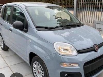Usata Fiat Panda 69 CV (50 kW) 2018 Grigio Utilitaria