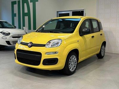 Nuova Fiat Panda Icon 2025 Giallo Utilitaria
