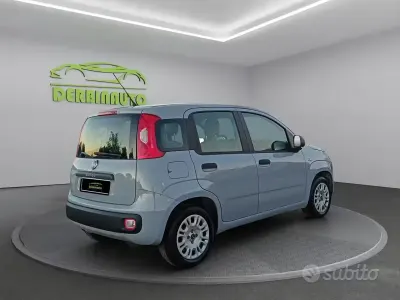 Usata Fiat Panda S 70 CV (51 kW) 2019 Grigio Utilitaria