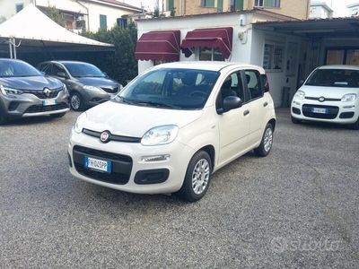 usata Fiat Panda 1.2 69cv Easy