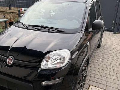 Usata Fiat Panda City Life 69 CV (50 kW) 2021 Utilitaria