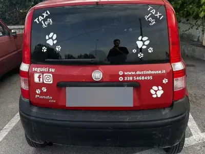 Usata Fiat Panda