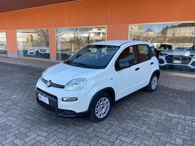 Usata Fiat Panda S 71 CV (52 kW) 2023 Bianco Utilitaria
