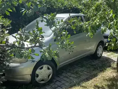 Usata Toyota Yaris