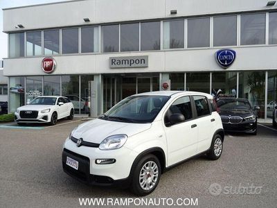Usata Fiat Panda S 70 CV (51 kW) 2024 Bianco Utilitaria