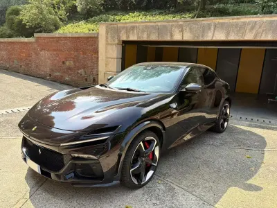 Usata Ferrari Purosangue