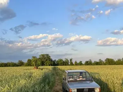 Usata Fiat Panda 4x4 48 CV (35 kW) 1983 Grigio Utilitaria