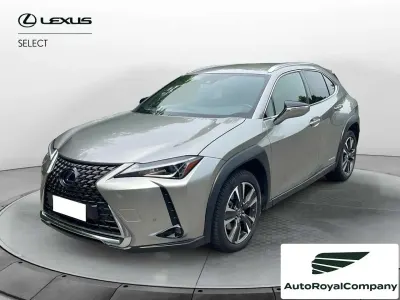 Usata Lexus UX 250h 184 CV (135 kW) 2019 Grigio SUV