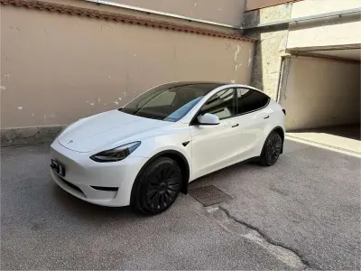 Usata Tesla Model Y RWD 88 kW (120 CV) 2023 SUV