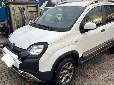 Usata Fiat Panda 4x4 2020 Bianco Utilitaria