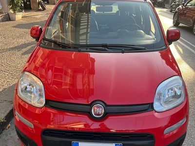 Usata Fiat Panda Lounge 69 CV (50 kW) 2020 Rosso Utilitaria