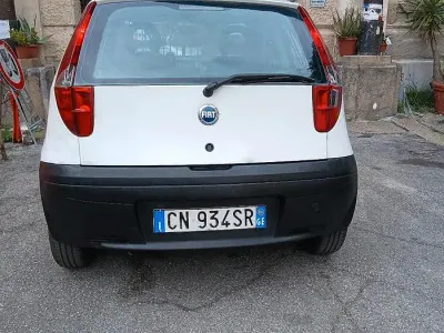 Usata Fiat Punto