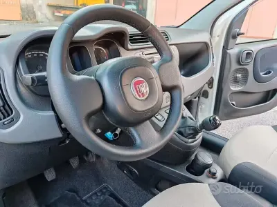 Usata Fiat Panda 4x4 75 CV (55 kW) 2015 Bianco Utilitaria