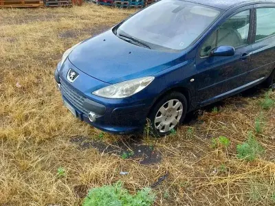 Usata Peugeot 307