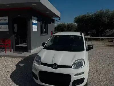 Usata Fiat Panda Easy 75 CV (55 kW) 2013 Bianco Utilitaria