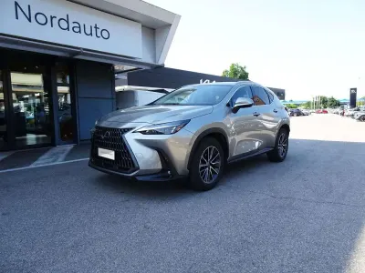 Usata Lexus NX300 309 CV (227 kW) 2023 Grigio SUV