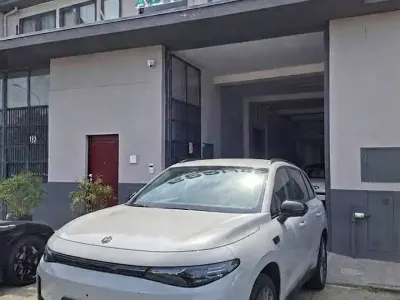 Usata Leapmotor C10